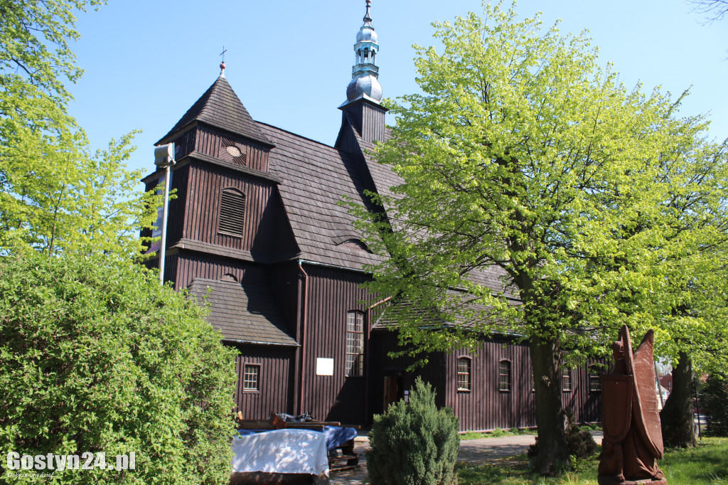 Archeolodzy w kościele w Domachowie