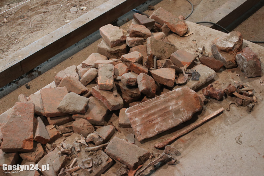 Archeolodzy w kościele w Domachowie