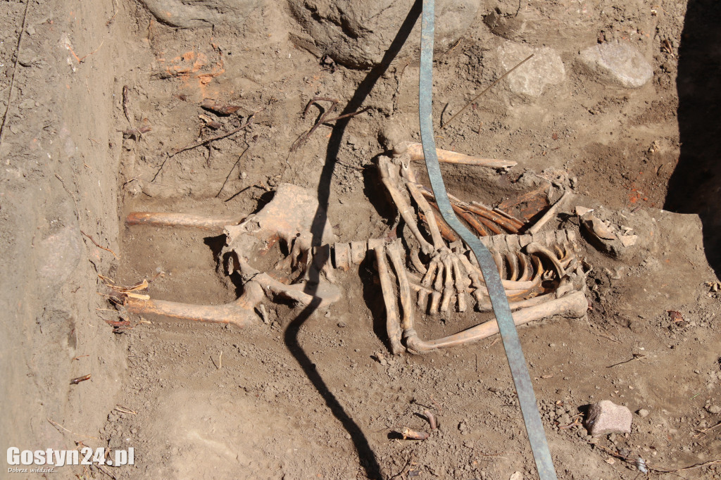 Archeolodzy w kościele w Domachowie