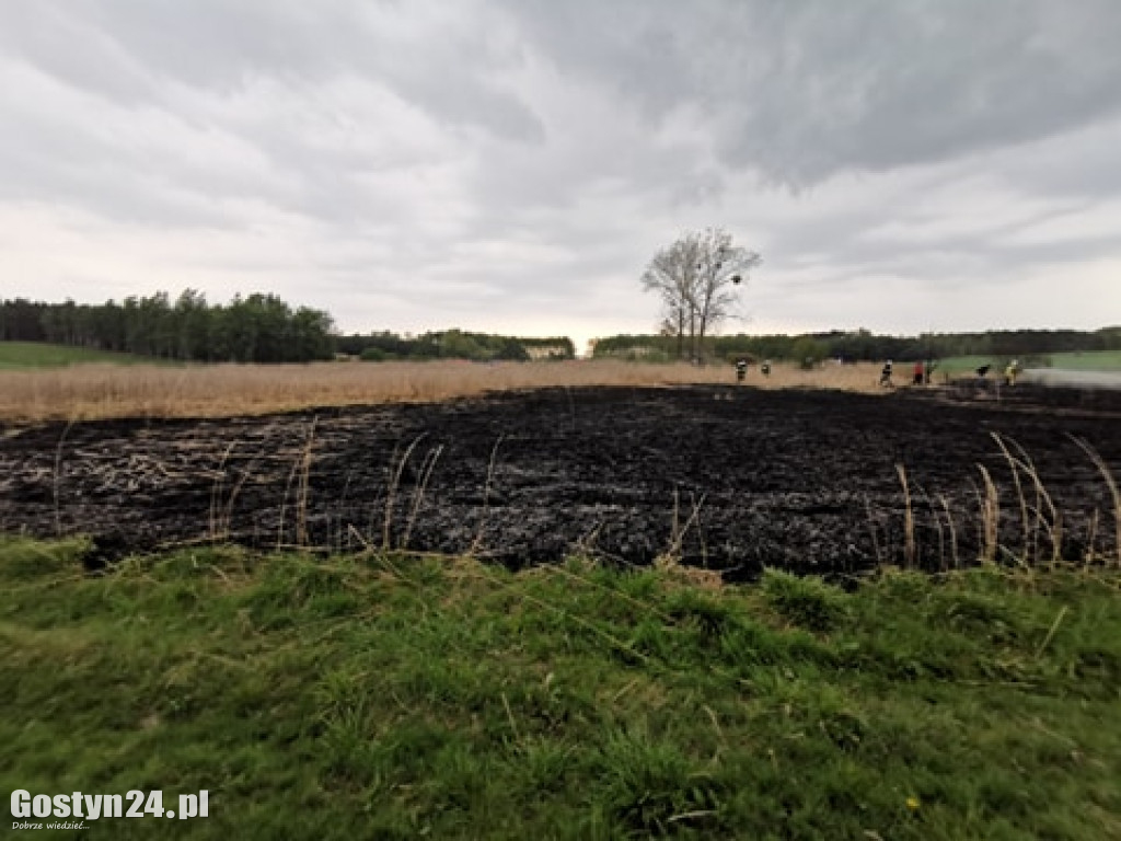 Pożar na łąkach pomiędzy Kunowem a Małachowem