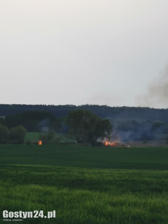 Pożar na łąkach pomiędzy Kunowem a Małachowem