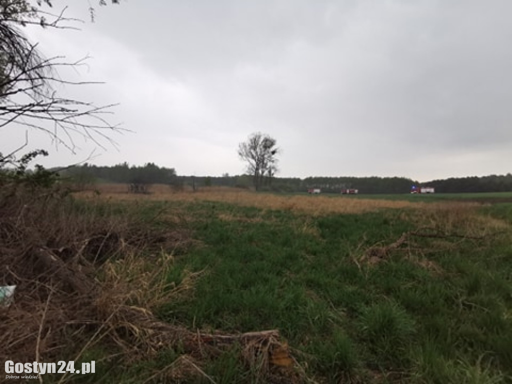 Pożar na łąkach pomiędzy Kunowem a Małachowem