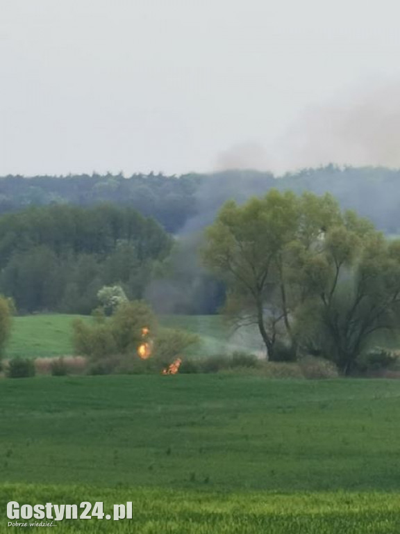 Pożar na łąkach pomiędzy Kunowem a Małachowem