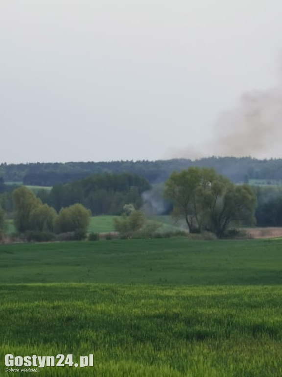 Pożar na łąkach pomiędzy Kunowem a Małachowem