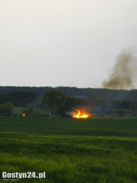 Pożar na łąkach pomiędzy Kunowem a Małachowem