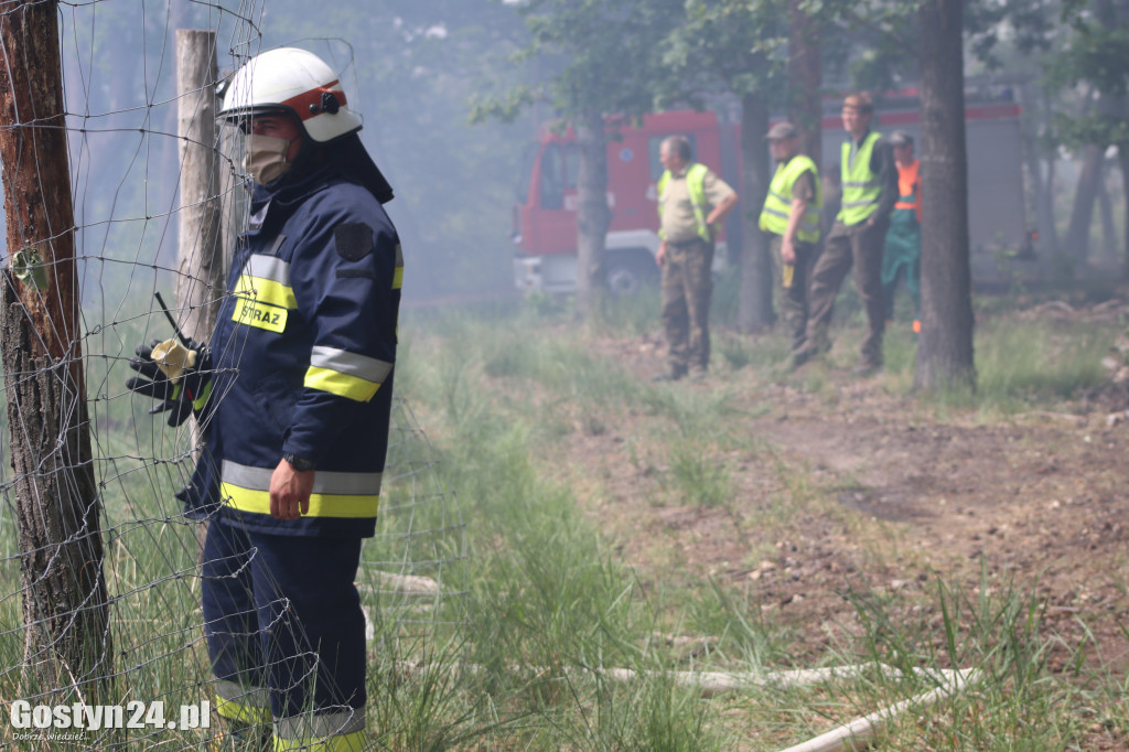 Pożar lasu w okolicach Wycisłowa