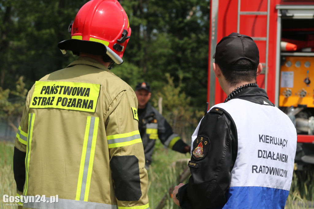 Pożar lasu w okolicach Wycisłowa