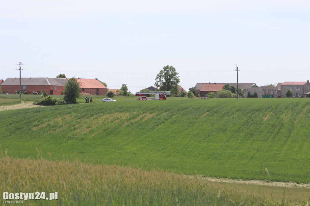 Pożar lasu w okolicach Wycisłowa