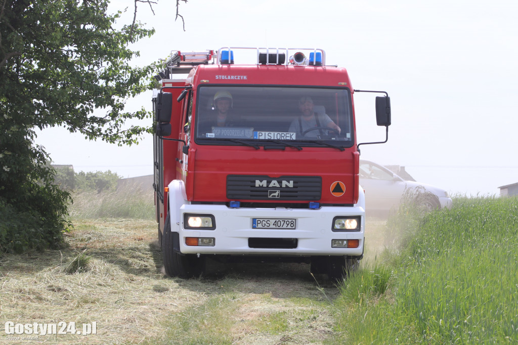 Pożar lasu w okolicach Wycisłowa