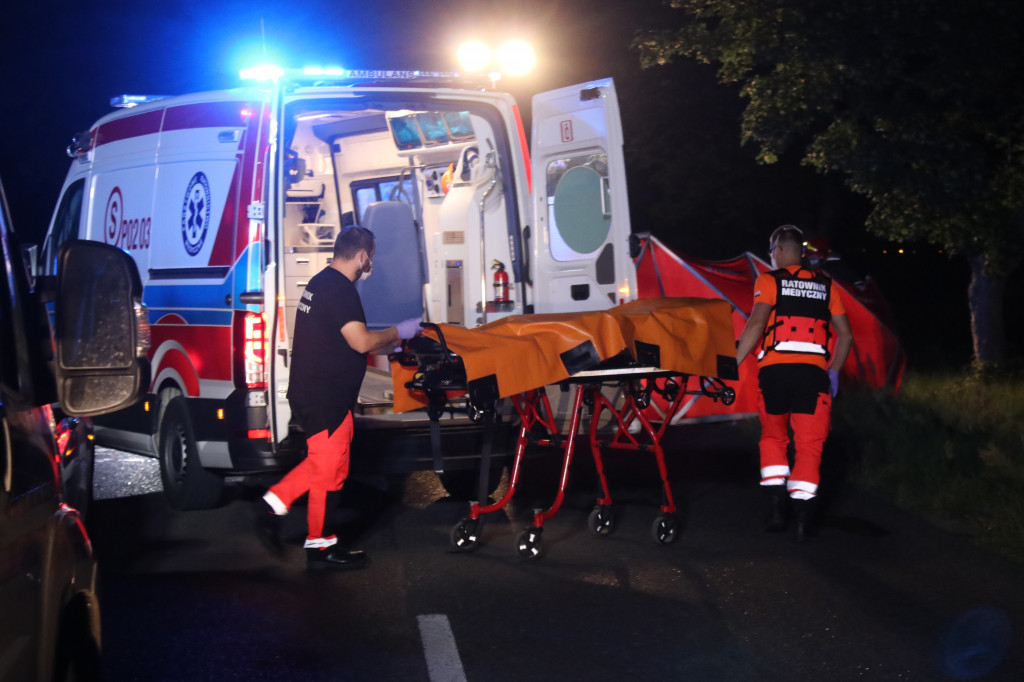 Samochód zderzył się z koniem pod Pogorzelą
