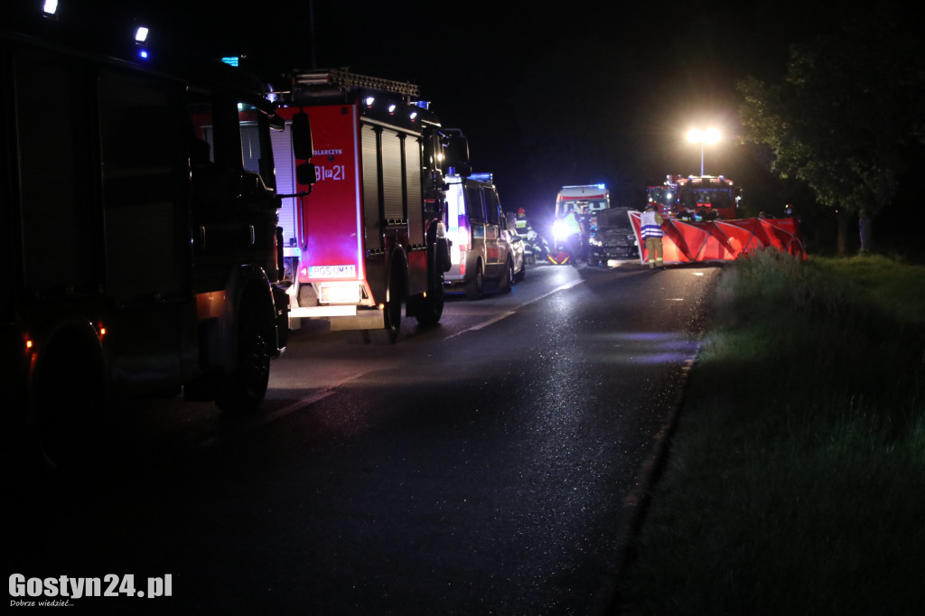 Samochód zderzył się z koniem pod Pogorzelą