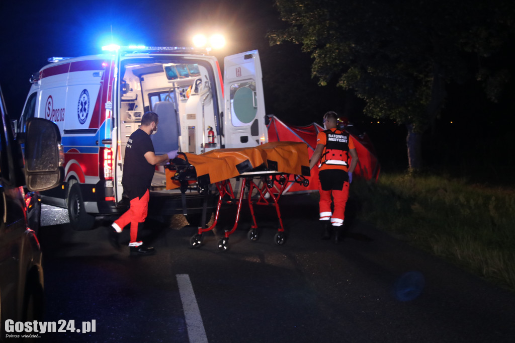 Samochód zderzył się z koniem pod Pogorzelą