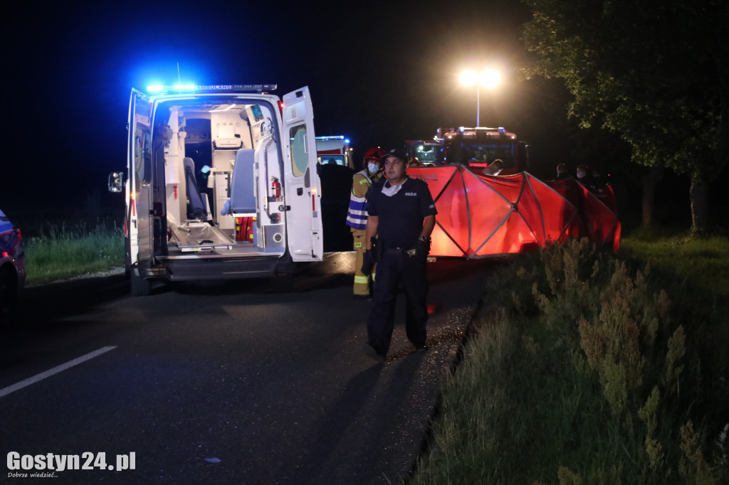 Samochód zderzył się z koniem pod Pogorzelą