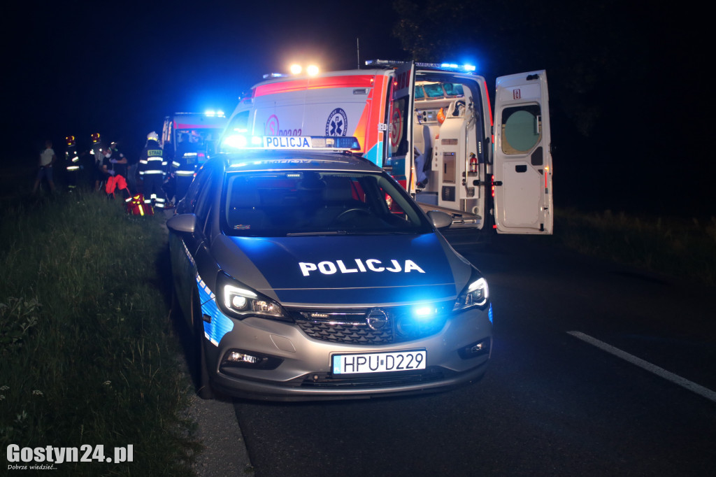 Samochód zderzył się z koniem pod Pogorzelą