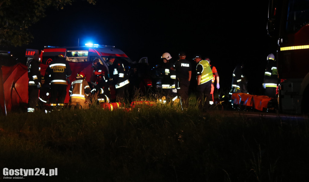 Samochód zderzył się z koniem pod Pogorzelą
