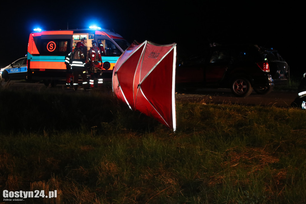 Samochód zderzył się z koniem pod Pogorzelą