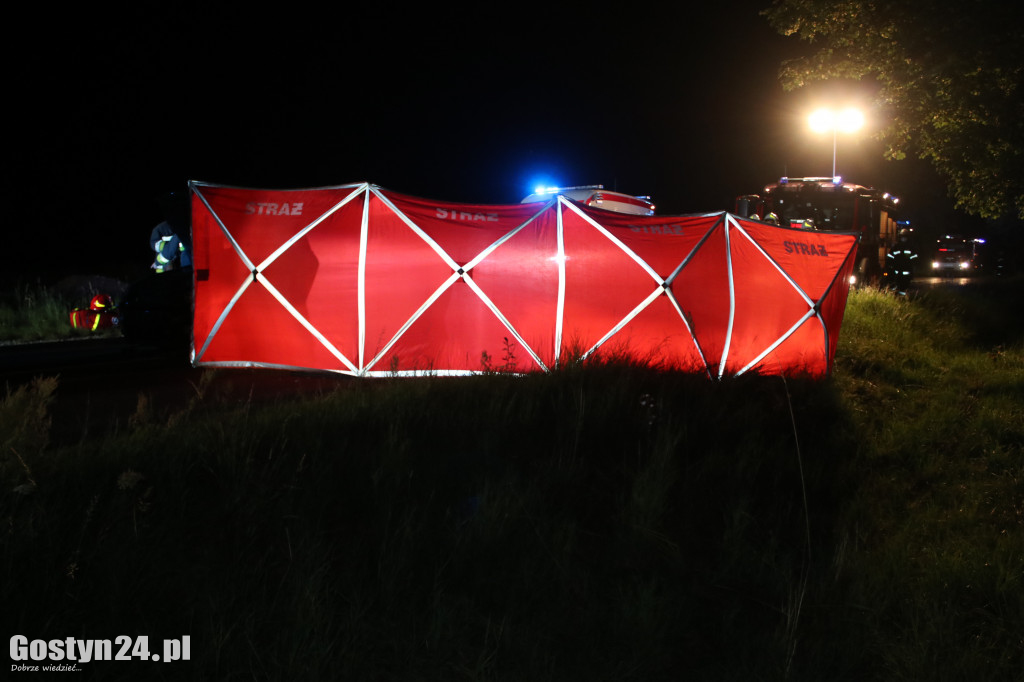Samochód zderzył się z koniem pod Pogorzelą