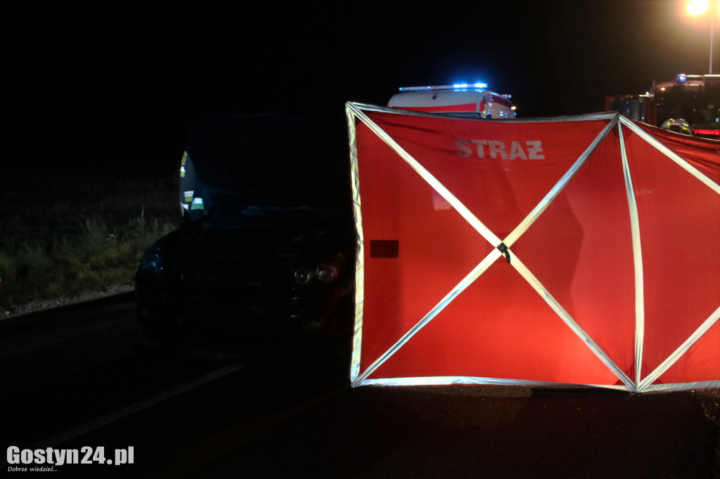 Samochód zderzył się z koniem pod Pogorzelą