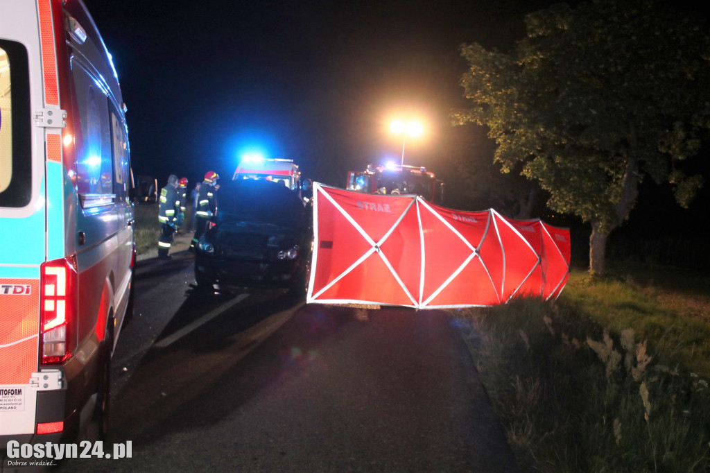 Samochód zderzył się z koniem pod Pogorzelą