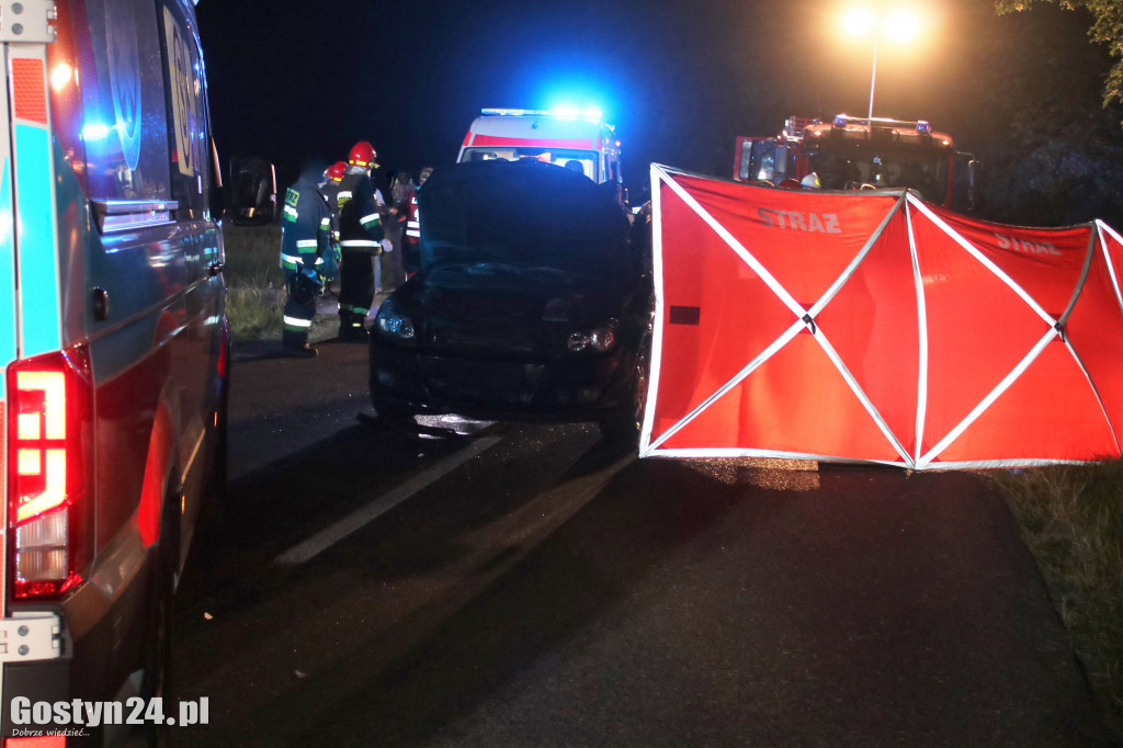 Samochód zderzył się z koniem pod Pogorzelą