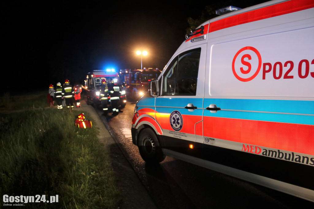 Samochód zderzył się z koniem pod Pogorzelą