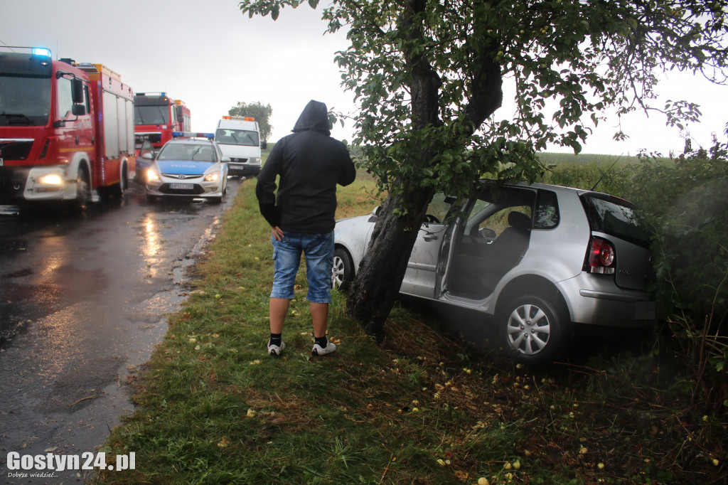 Zdarzenia drogowe w Siedmiorogowie I i na trasie koło Pogorzeli