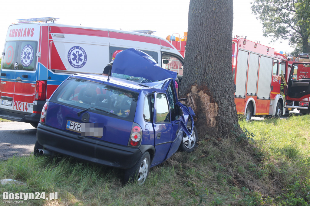 Wypadek na trasie Wziąchów - Kromolice