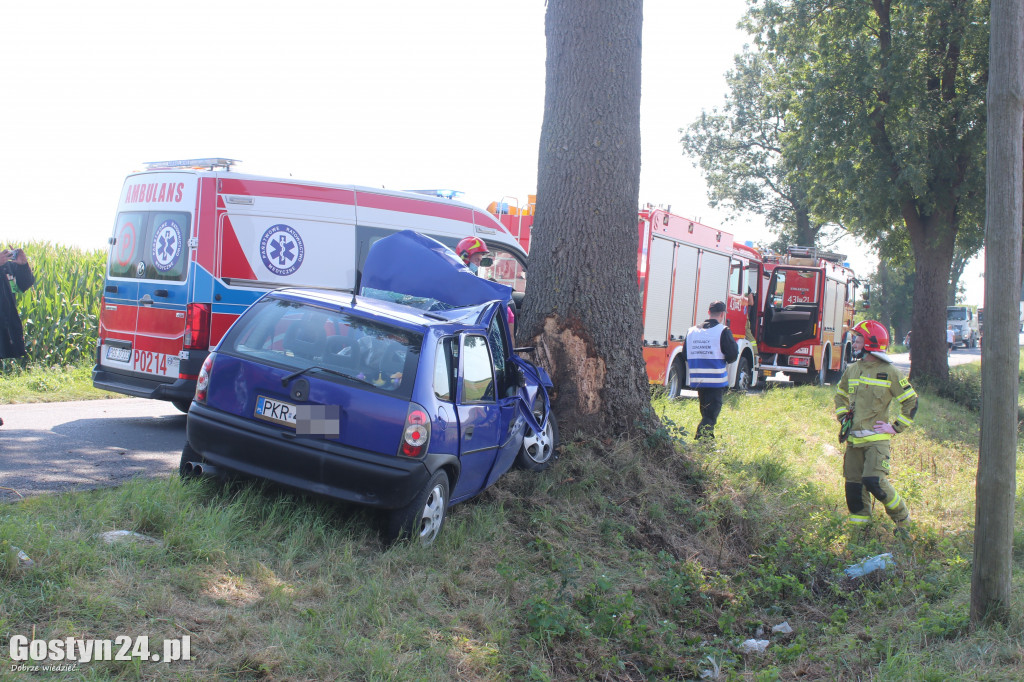 Wypadek na trasie Wziąchów - Kromolice