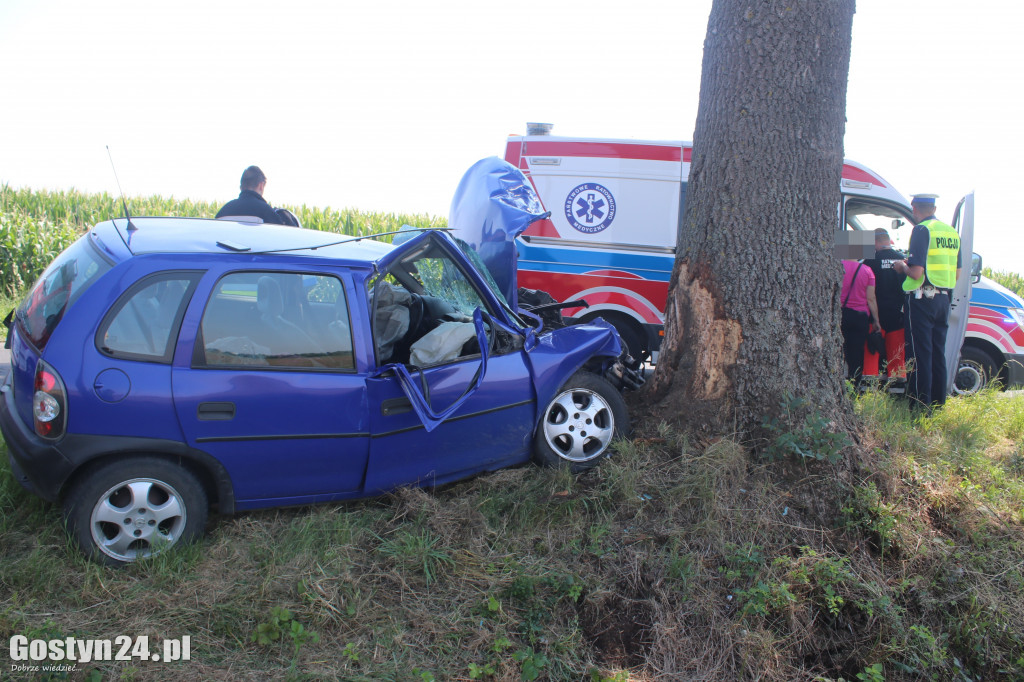 Wypadek na trasie Wziąchów - Kromolice