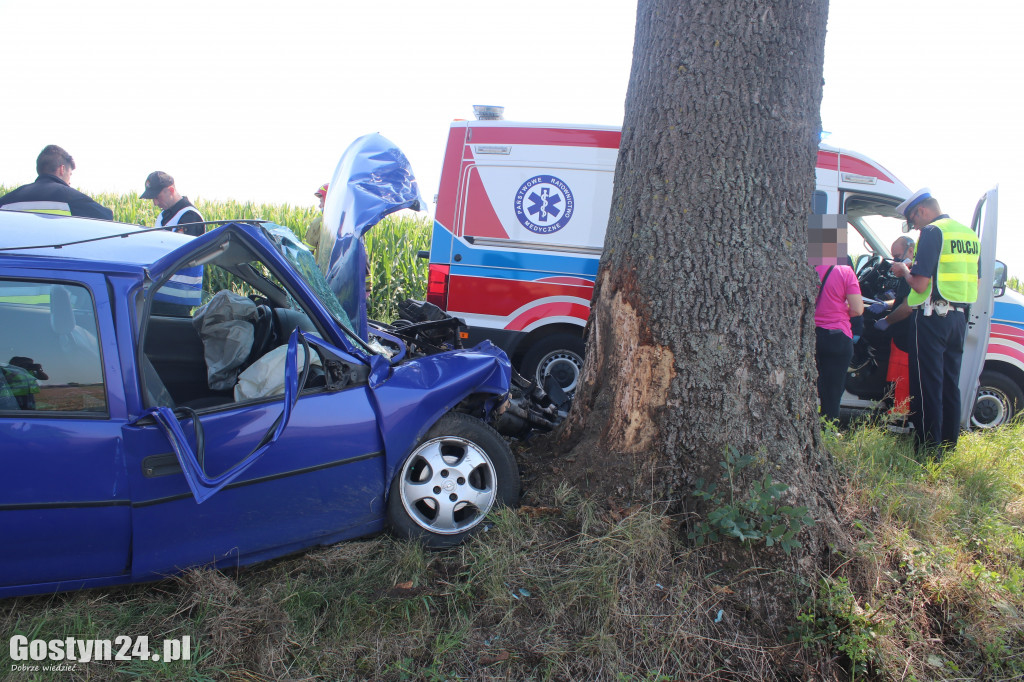 Wypadek na trasie Wziąchów - Kromolice