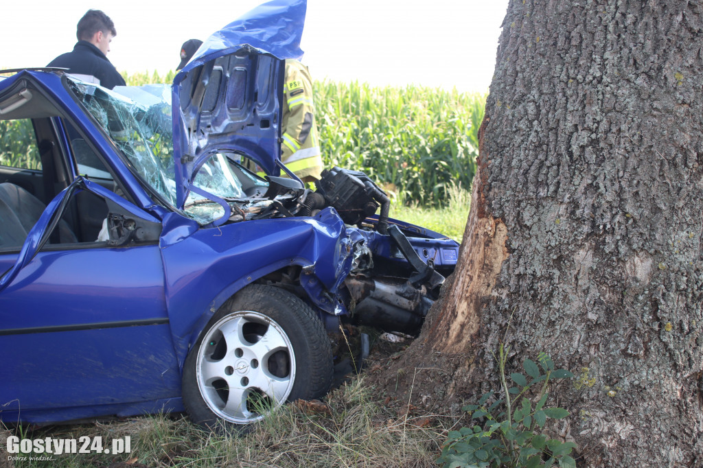 Wypadek na trasie Wziąchów - Kromolice