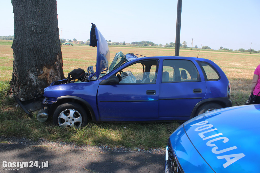 Wypadek na trasie Wziąchów - Kromolice