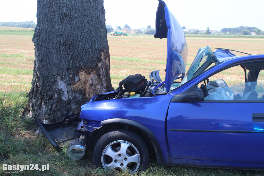 Wypadek na trasie Wziąchów - Kromolice