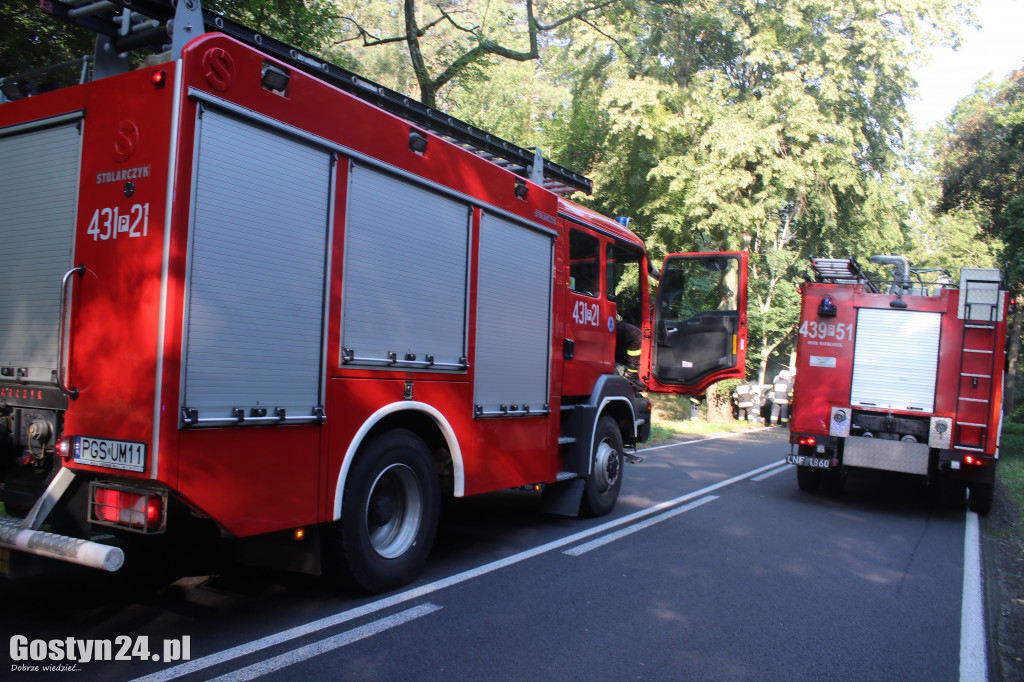 Wypadek na trasie Studzianna - Koszkowo