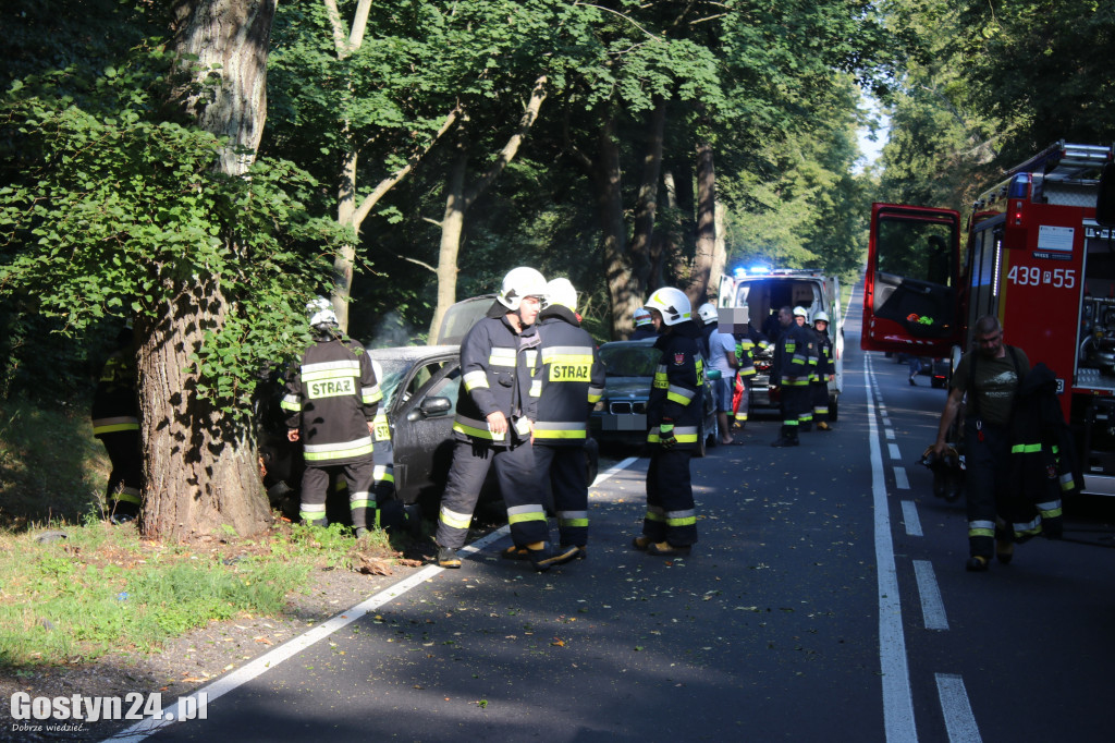 Wypadek na trasie Studzianna - Koszkowo