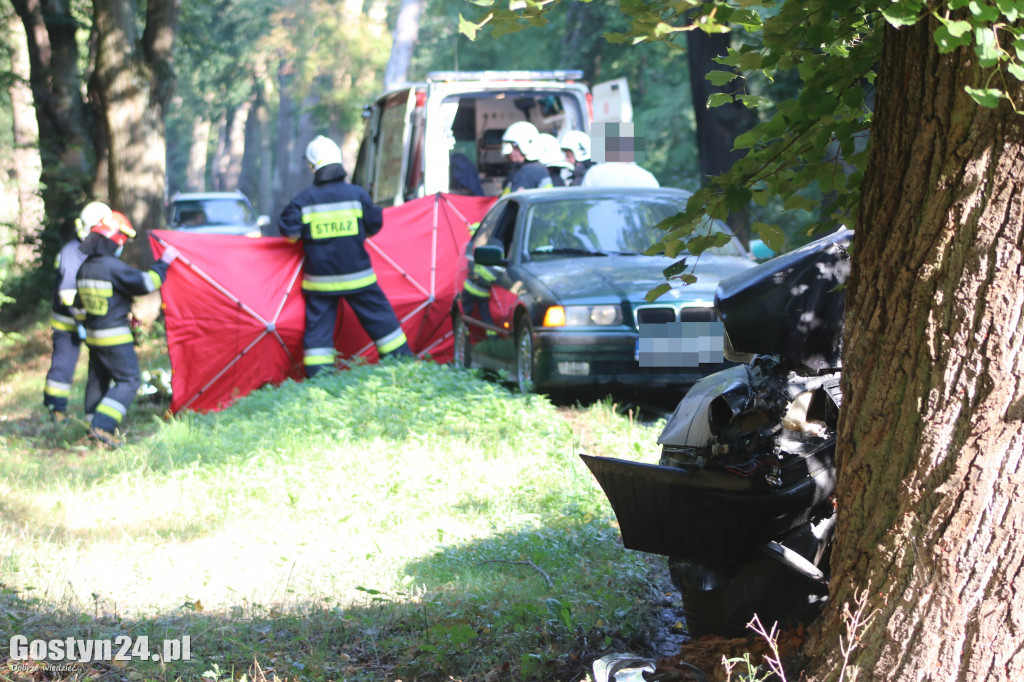 Wypadek na trasie Studzianna - Koszkowo
