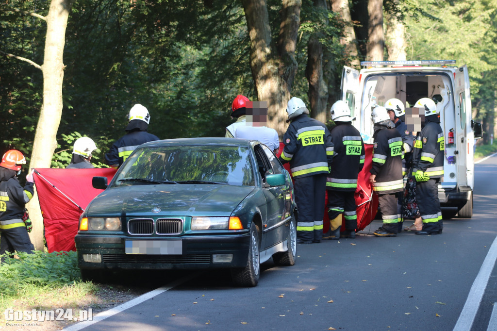 Wypadek na trasie Studzianna - Koszkowo
