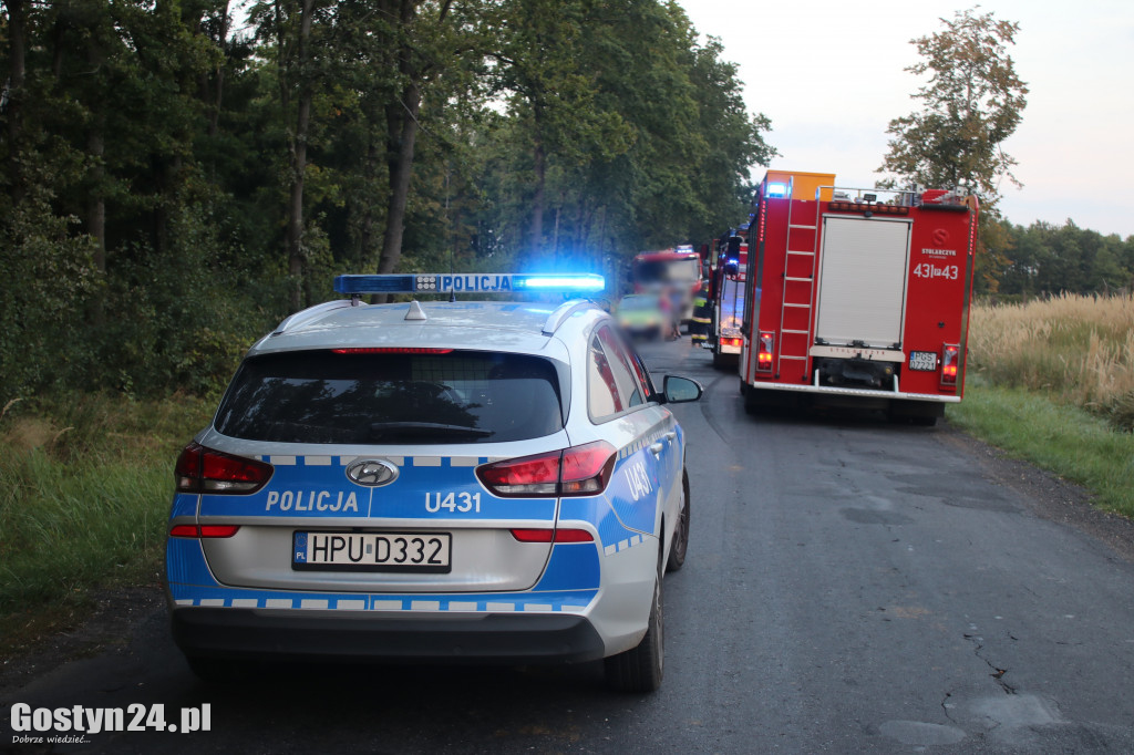 Zdarzenie drogowe w na trasie Siedmiorogów I - Karolew