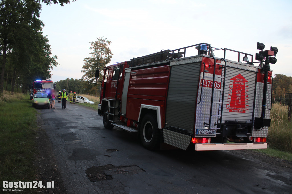 Zdarzenie drogowe w na trasie Siedmiorogów I - Karolew