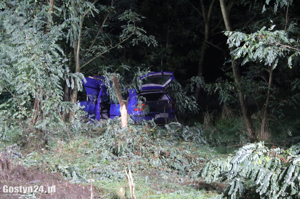 Auto wypadło z drogi na trasie Smogorzewo-Piaski