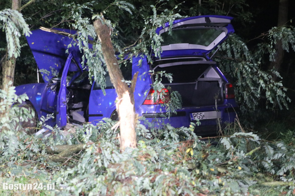 Auto wypadło z drogi na trasie Smogorzewo-Piaski
