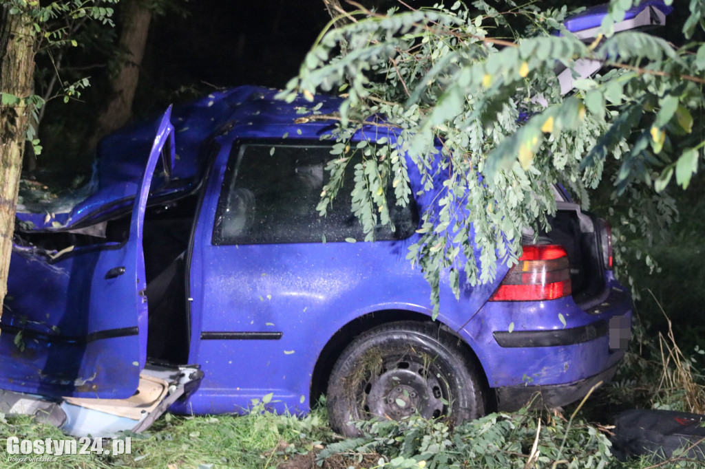 Auto wypadło z drogi na trasie Smogorzewo-Piaski