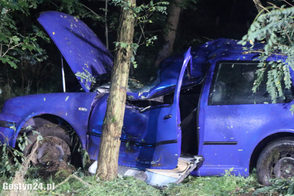 Auto wypadło z drogi na trasie Smogorzewo-Piaski