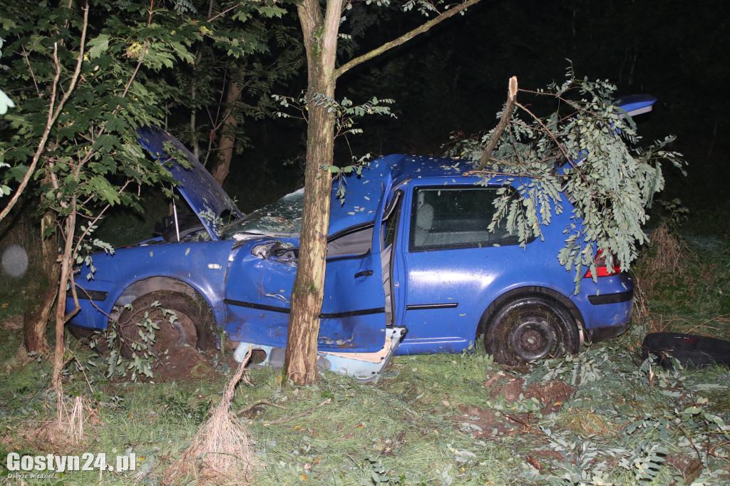 Auto wypadło z drogi na trasie Smogorzewo-Piaski