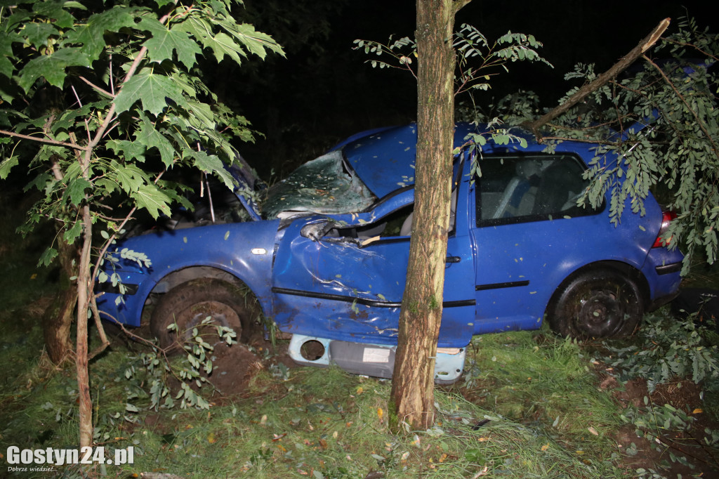Auto wypadło z drogi na trasie Smogorzewo-Piaski