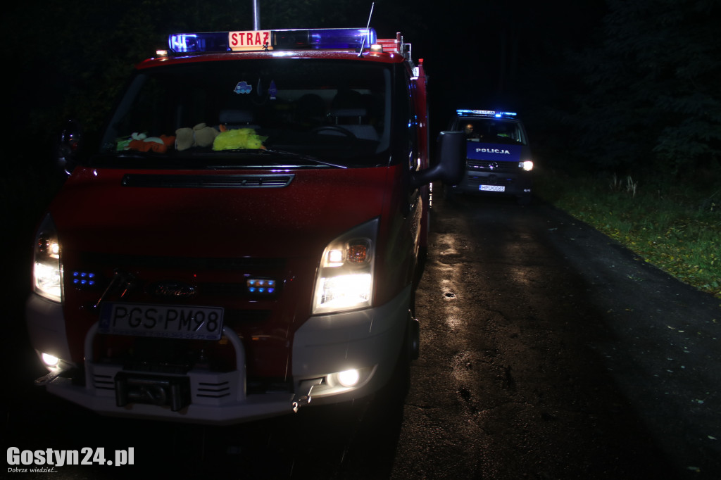 Auto wypadło z drogi na trasie Smogorzewo-Piaski