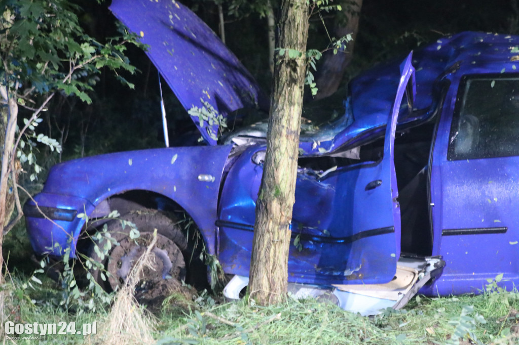 Auto wypadło z drogi na trasie Smogorzewo-Piaski