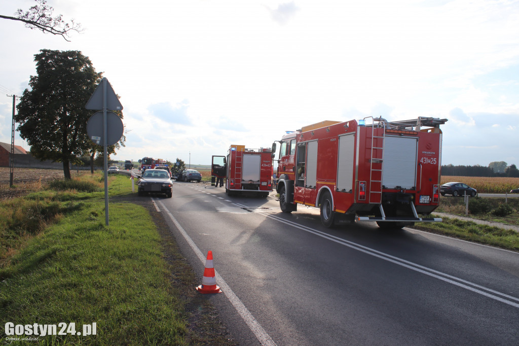 Śmiertelny wypadek na trasie Gostyń - Krobia