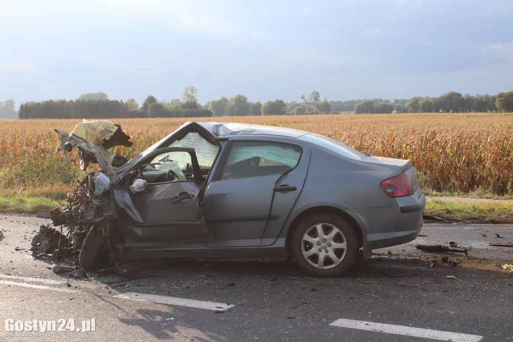 Śmiertelny wypadek na trasie Gostyń - Krobia