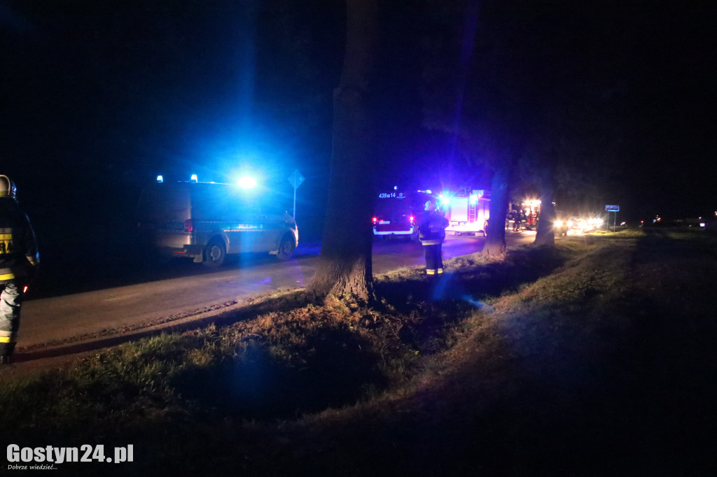 Zdarzenie drogowe na wjeździe do Pępowa